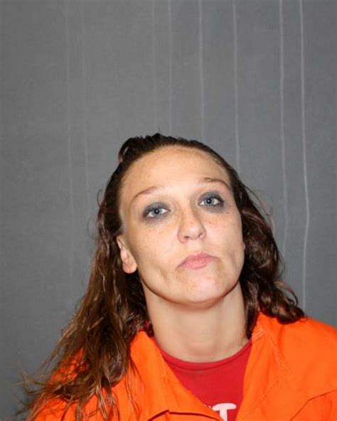 SHEILA EVELYN MILLIKEN Arrested In Woodbury County Iowa Siouxland Scanner