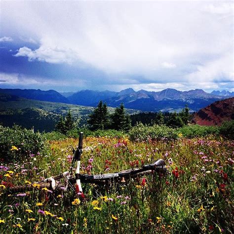 When And Where To Find The Best Wildflower Viewing Durango Has To Offer