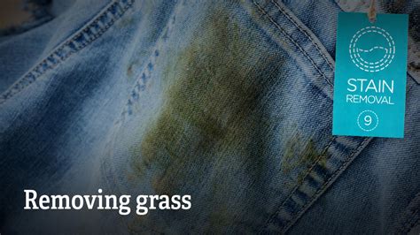Stain Removal Removing Grass Love Your Clothes