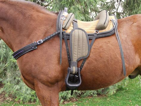 5 Basic Equipment You Need For Your First Horse 2023 Guide Webstame