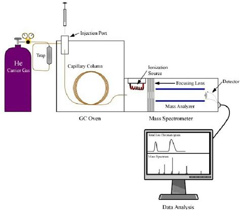 Schematic Of A Gc Ms System Download Scientific Diagram