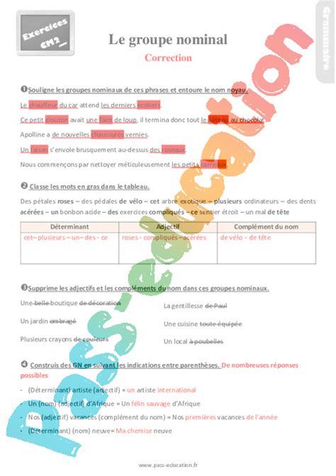 Exercices révisions sur le groupe nominal au Cm2 avec les corrections