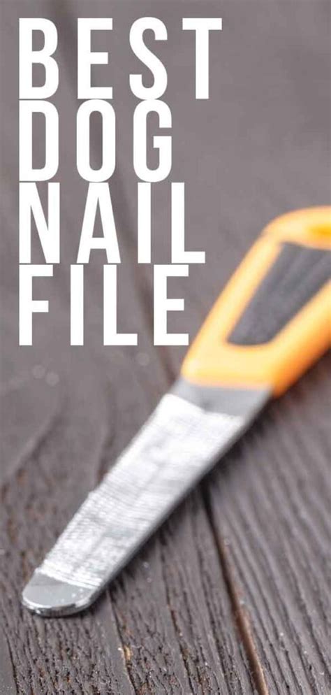 Best Dog Nail File To Keep Your Dogs Nails Healthy