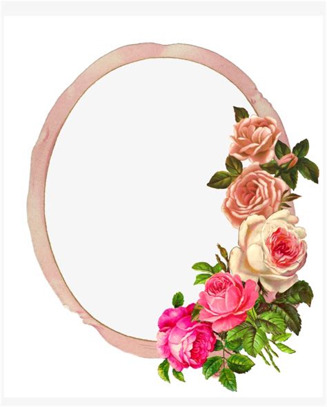 Flower Frame Png Rose Frame Bed Frames Cute Frames Pink Rose
