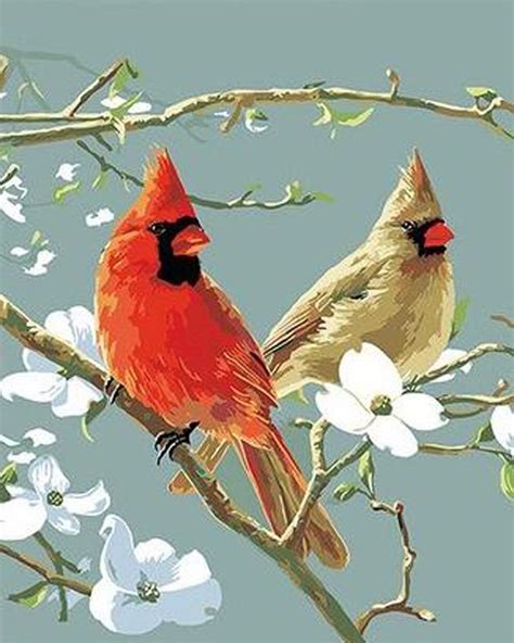 Dealcrafty Cardinals Bird Birds Paint By Number P14267 16x2040x50cm