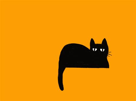 Black Cats Dont Scare Anything By Eda Ozturk On Dribbble