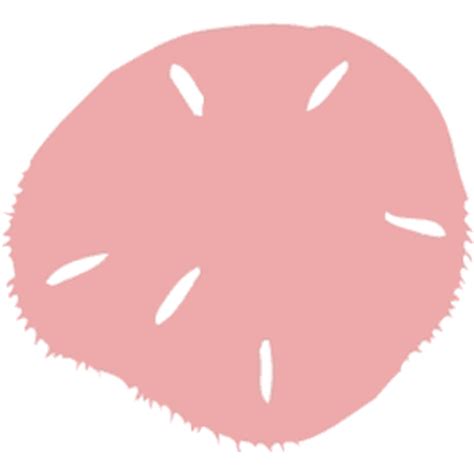 You can either upload a file or provide a. Sand Dollar clipart, cliparts of Sand Dollar free download ...