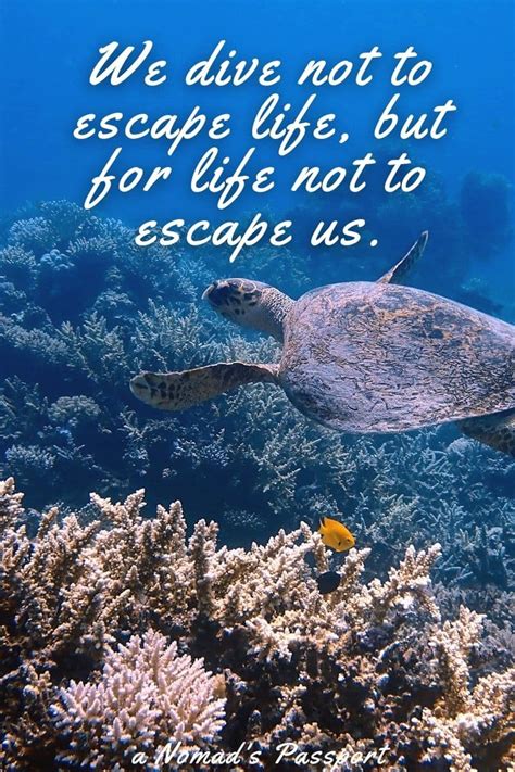 The 56 Best Scuba Diving Quotes For Ocean Lovers