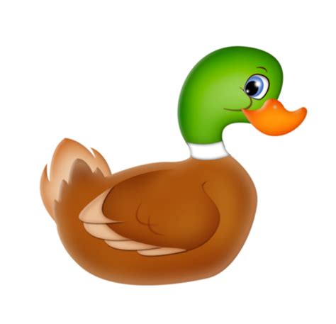 Quack Quack Quack Quack Mallard Duck Cute Images Clipart Painted