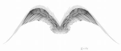 Angel Wings Angels Transparent Animated Deviantart Luisbc