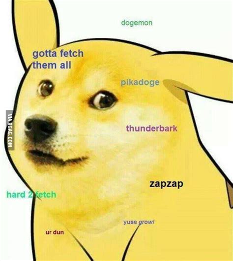 So Doge So Great So Scary 9gag