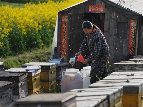 Nations Biggest Honey Packer Admits Laundering Chinese Honey The