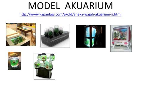 Model meja aquarium ini bisa memperindah ruang tamu, model meja aquarium ini bisa membantu. PPT - BUDIDAYA IKAN HIAS (mp mulok) PowerPoint Presentation - ID:3487808