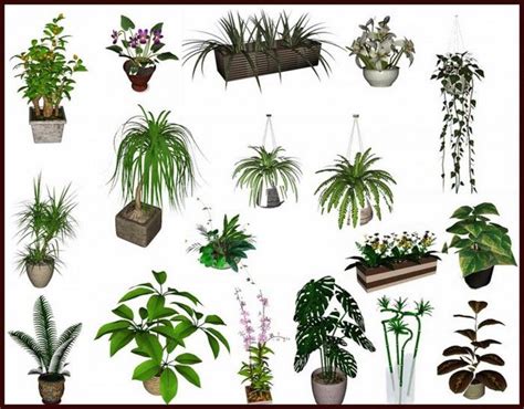 Decor Plant Set Nr4 By Clio Free Sims 3 Decor Downloads Clio Sims3