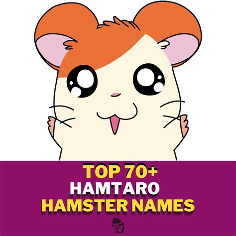 Hamtaro Hamster Names With Meaning Our Top 70 Picks Great Pet Place