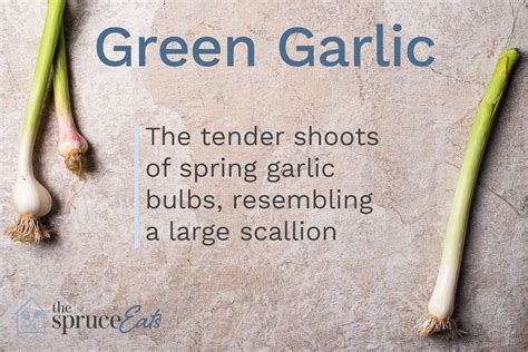 Learn About Green Garlic Including What It Is How It Compares To