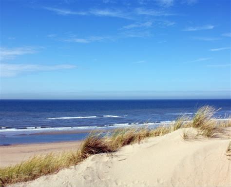 ˈzɑntfoːrt (listen)) is a municipality in the province of north holland, netherlands. Wandern in den Dünen - Appartement Zandvoort aan Zee