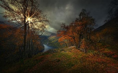 512350 Nature Landscape Fjord Norway Fall Trees Grass Mountain Clouds