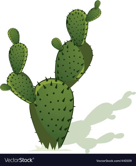 Cactus Royalty Free Vector Image Vectorstock