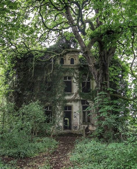 Bestabandoned On Instagram Abandoned Large Overgrown Home 🏚 Tag A