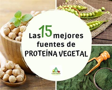 Los 15 Mejores Alimentos Vegetales Ricos En Proteína — Rutas Veganas 2022