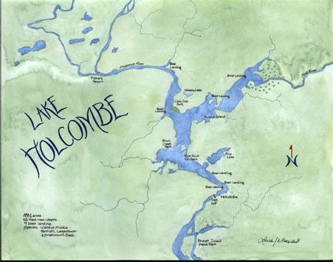 Lake Holcombe Chippewa County Wi Print Illustration Map Etsy Uk