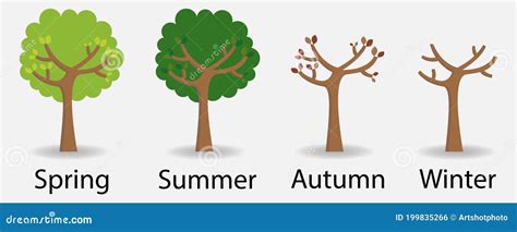 The Same Tree In The Four Seasons With Text Stock Vector Illustration