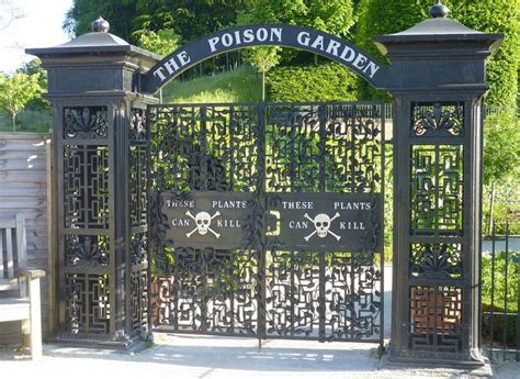 A Lovely English Garden Full Of Deadly Poisonous Plants Nicola Ginzler