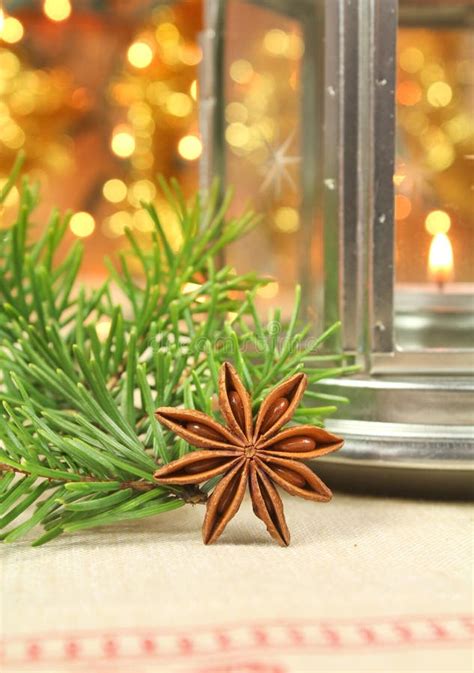 Anise Star Stock Photo Image Of Christmas Savory Anise 11433480