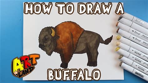 How To Draw A Buffalo Youtube