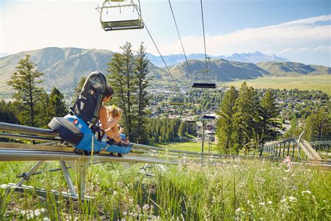 Summer Cowboy Coaster At Snow King Things To Do In Jackson Hole