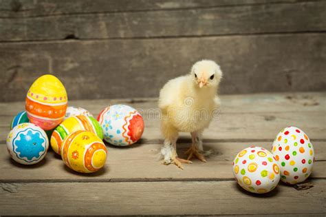 Easter Eggs And Chicken Stock Image Image Of Chicks 84134867