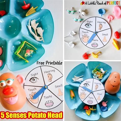 5 Senses Activity With Mr Potato Head Free Printable A Little