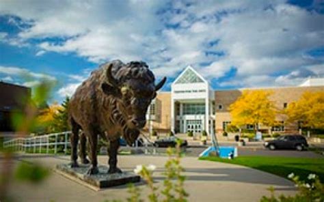 Undergraduate Education University At Buffalo