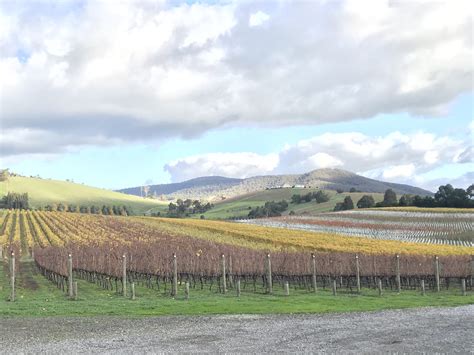 Yarra Valley Private Tour Australian Private Tours