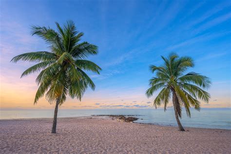 Key West Beach Sunrise With Two Palm Trees Fine Art Photo Photos By