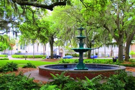 Georgia Coast 2019: Best of Georgia Coast, GA Tourism - TripAdvisor