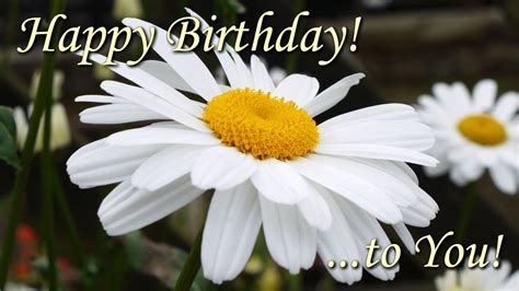 Happy Birthday To You Beautiful Flowers Pictures With Best Birthday