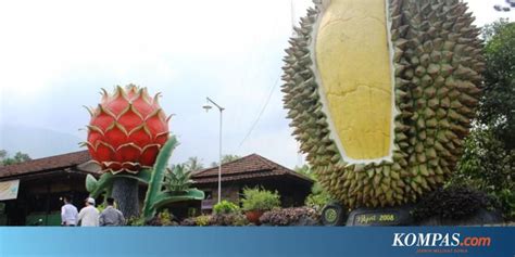 Check spelling or type a new query. 35+ Ide Pondok Kebun Durian - My Life Tastes Tasty