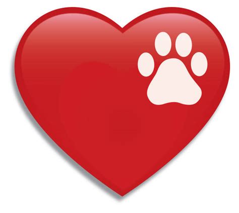 Paw Print Dog Paw Heart Shape Illustrations Royalty Free Vector