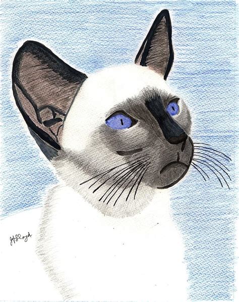 Siamese Cat Painting By Joy Lloyd Pixels