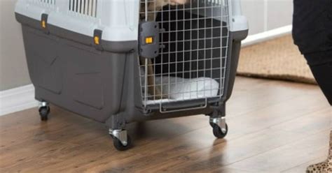Alaska airlines does not transfer pets traveling in the baggage compartment to other carriers. 5 Best Pet Carriers And Tips For Safer Airline Cargo ...