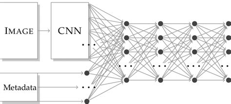 The Convolutional Neural Network Architecture Used By The Hydra