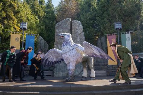 Magical Creatures Encounter At Universal Studios Japans Wizarding