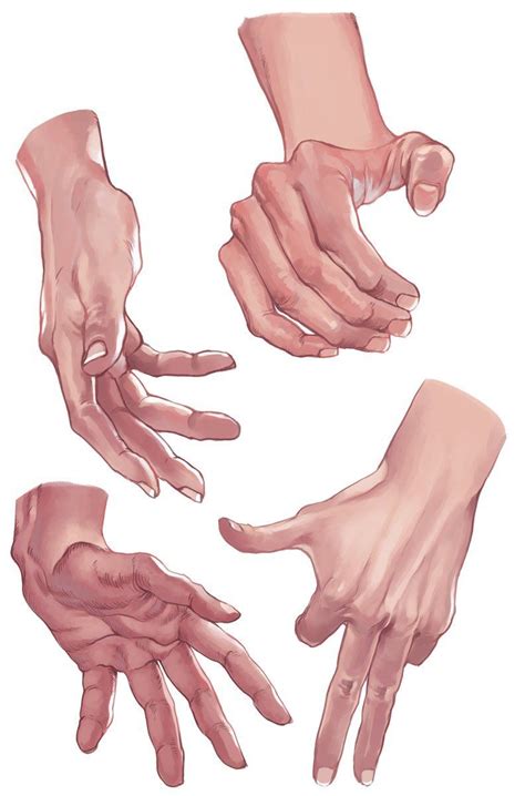 Твиттер Hand drawing reference Hand reference How to draw hands