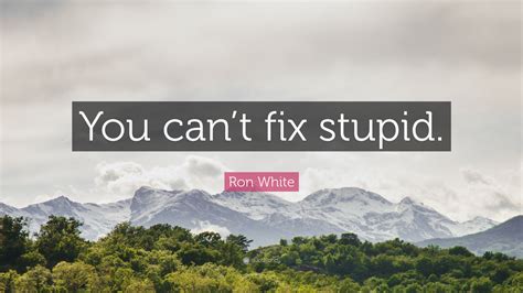 Home » browse quotes by subject » stupid quotes. Ron White Quote: "You can't fix stupid." (12 wallpapers) - Quotefancy