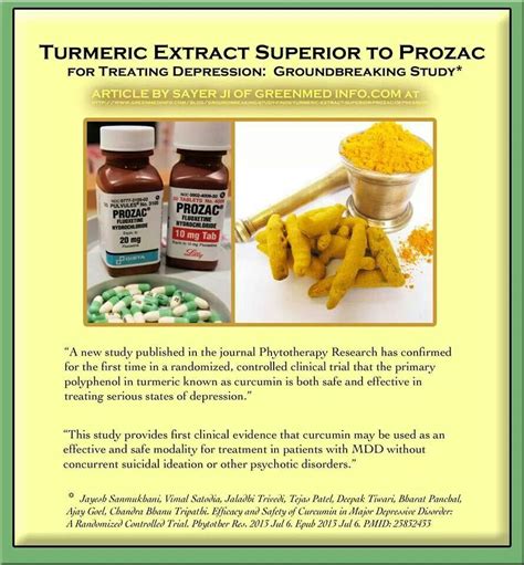 Turmeric Phytotherapy Turmeric Healthy Living
