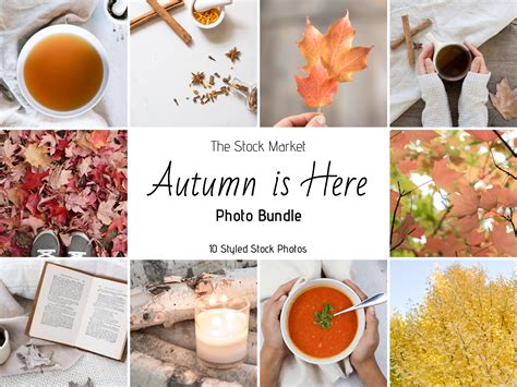 autumn-stock-photo-bundle-styled-stock-photos,-stock-photography-business,-stock-photography