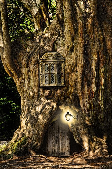 Fantasy Fairytale Miniature House In Tree In Forest Photograph By