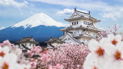 The Ultimate Japan Travel Guide The Asia Collective
